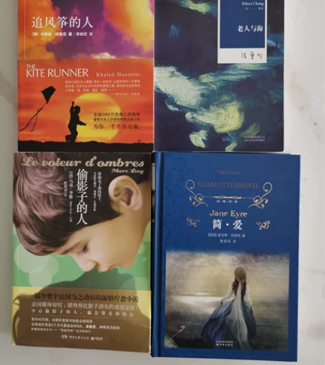 追风筝的人 老人与海 简爱 偷影子的人 追...