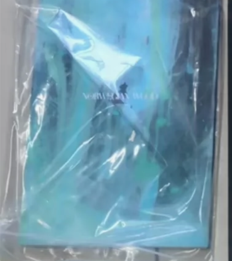 温西 挪威的森林  太中 双黑 文豪野犬 ...