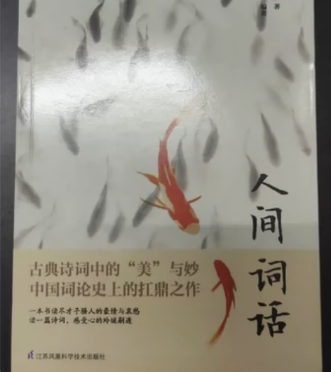 《人间词话》 不包邮几乎全新￥5