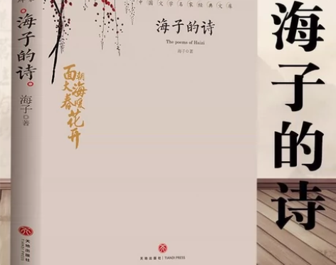 海子的诗 面朝大海春暖花开海子传记文学诗歌...