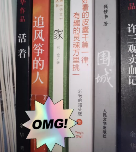 闲置书籍五本  《许三观卖血记》《家》《追...