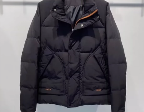 滴滴小新，抖音，冬季羽绒服男白鸭绒立领防风...