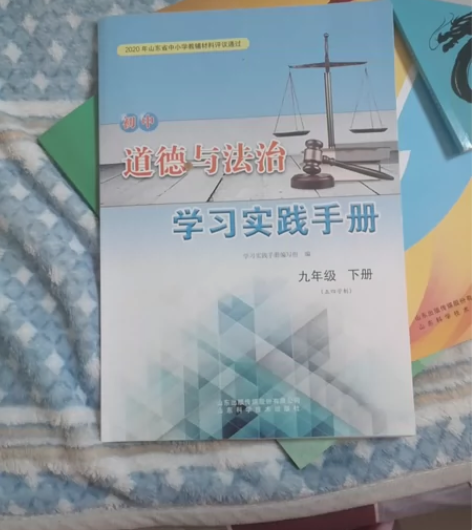 新版五四制初中道德与法治实习实践手册九年级...