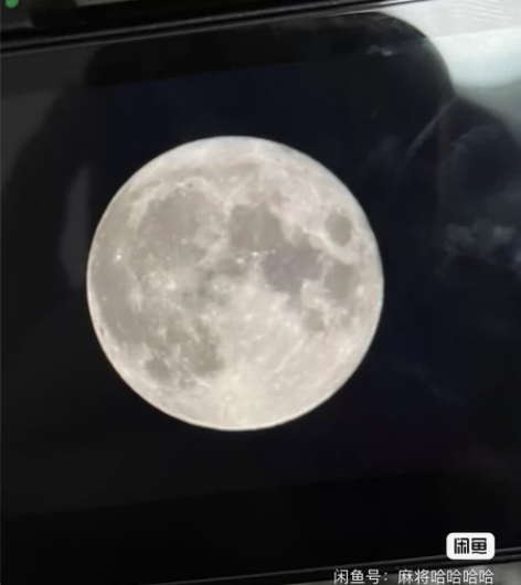 尼康d5600+18-140镜头 入手半年...