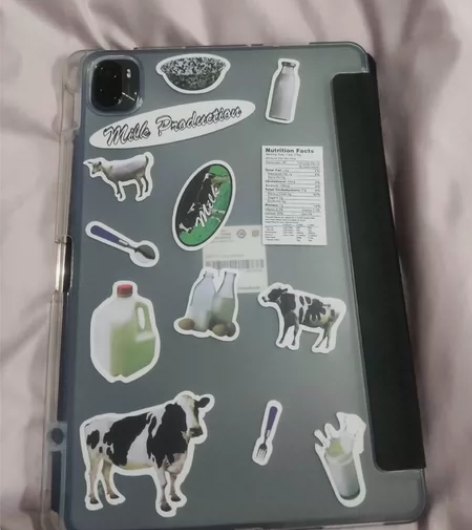 出小米平板5，8+256G，黑色，刚用不到...