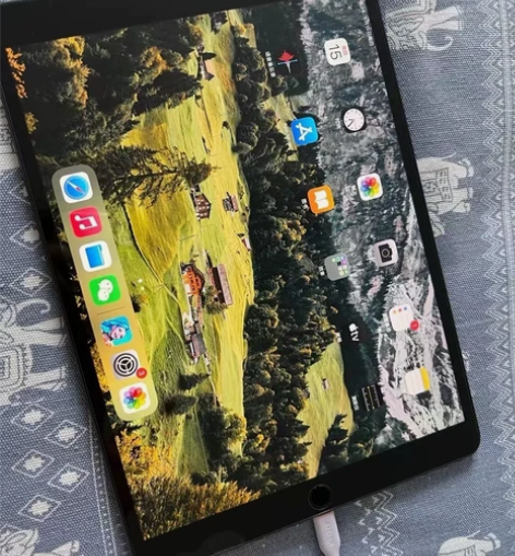 闲置出ipad2019 128G 国行 家...