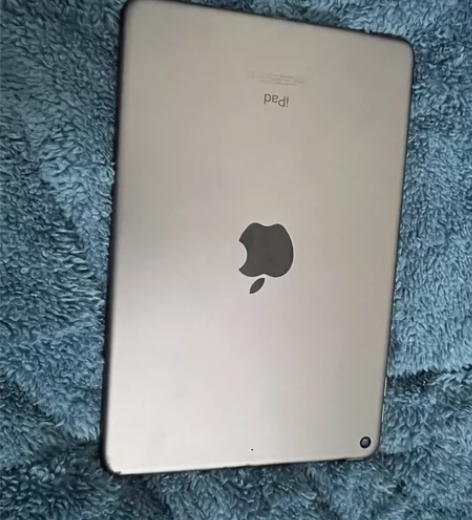 ?iPad mini5 2019款256 ...
