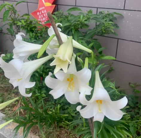 2023年法考最新资料 感兴趣的话点“我想...