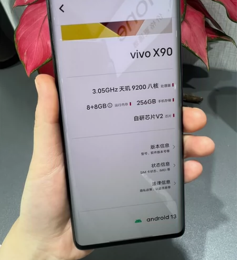 【精品捡漏】Vivox90 8+256G原...