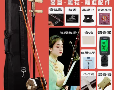 国悦二胡乐器厂家直销初学者入门考级成人儿童...