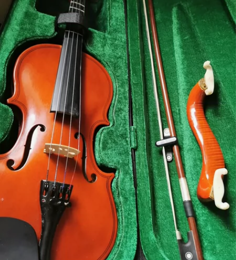 当初学校报兴趣班，孩子心血来潮要学小提琴，...