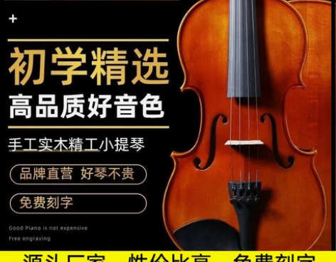 小提琴实木初学者专业级学生儿童成人1/2/...