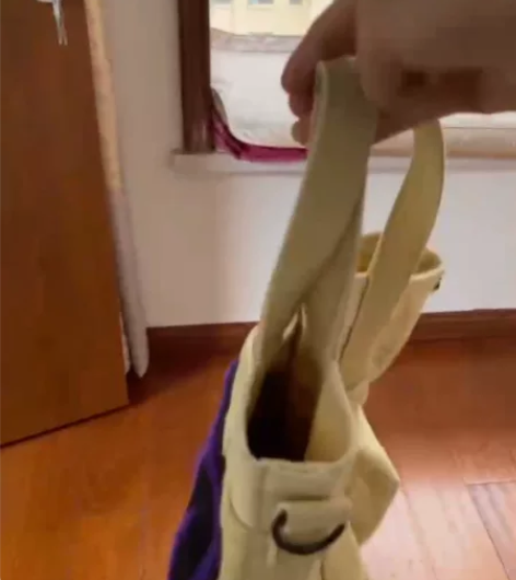 STA2022迷你小号托特包毛巾绣休闲便携...