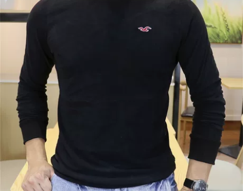 Hollister男装新款秋冬季海鸥圆领长...