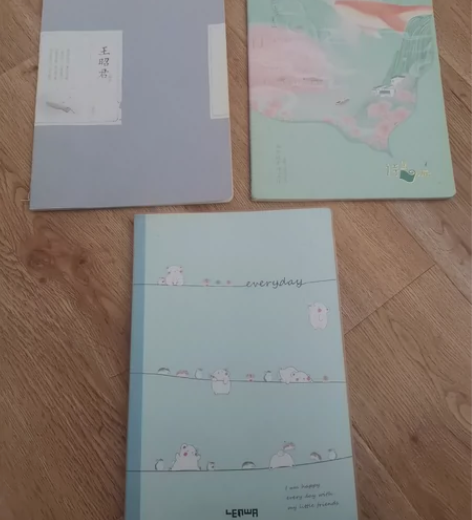 全新笔记本记事本 图片实拍，都是全新的！图...