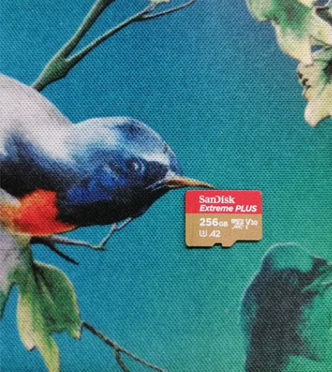 闪迪至尊PLUS内存卡  极速256G U...