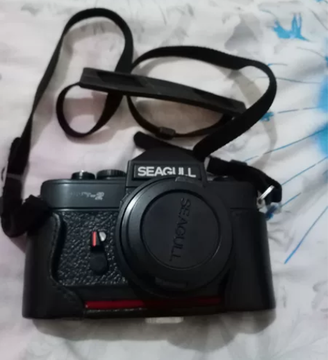 海鸥相机，嘎嘎新，功能正常，配件齐全 感兴...