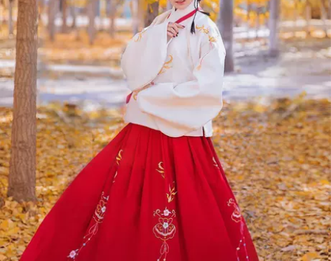 如梦霓裳汉服冬装女 明制袄裙绣花琵琶袖 湘...
