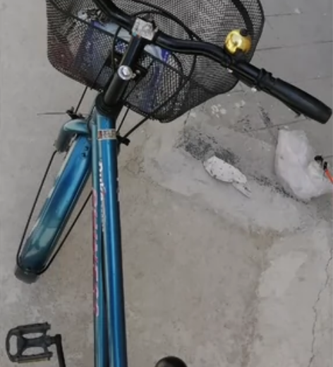 凤凰自行车没有任何毛病,不太骑,买菜通勤非...