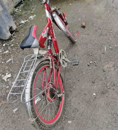 菲利普自行车有需要的联系我 感兴趣的话点“...