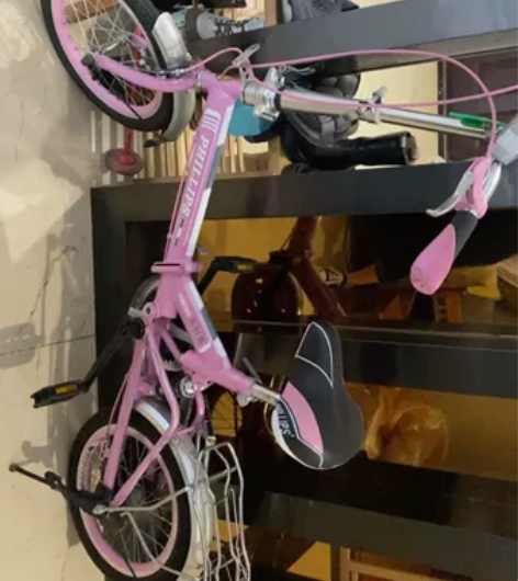 菲利普折叠自行车 感兴趣的话点“我想要”和...