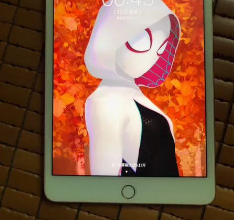 iPad mini4 闲置出 系统版本13...