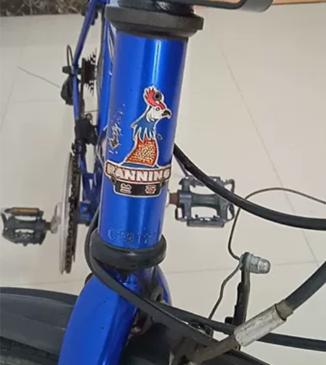 英国兰苓（凤头）公路自行车 凤头钢架公路自...