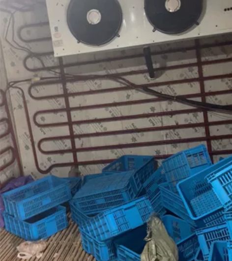 篮子处理，三十多个，八成新 感兴趣的话点“...