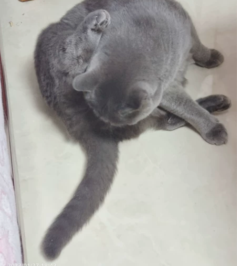 银色钻石台版正版全套外传，部分有钉章，因年...