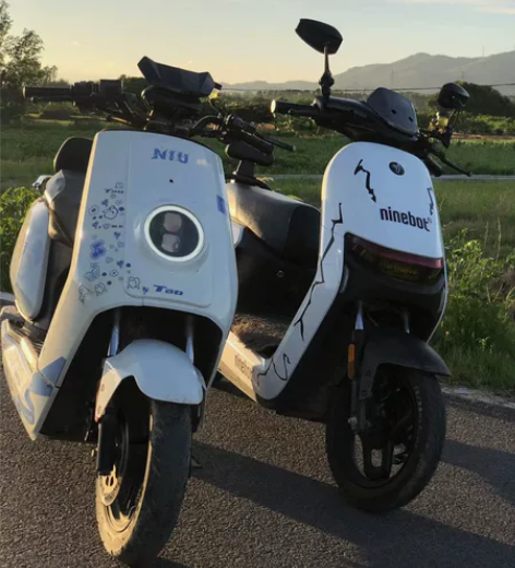 小牛电动车 可小刀不可屠龙刀 记者死全?不...