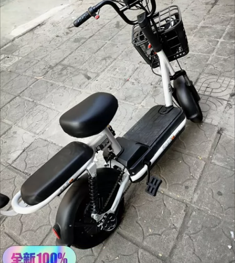 要去远方工作了 急出飞鸽自用电动车新国标电...