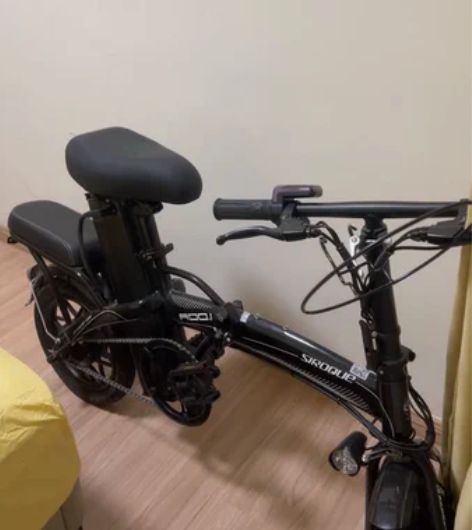 基本全新电动车，正步自行车，没用过，跑不了...