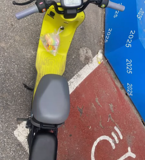 智能电动车九号N85C，2023激活的，配...