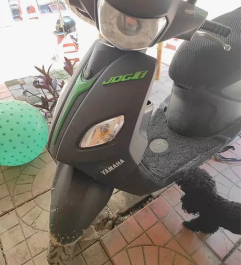 出售自用雅马哈巧格，无手续，自用，不是贩子...