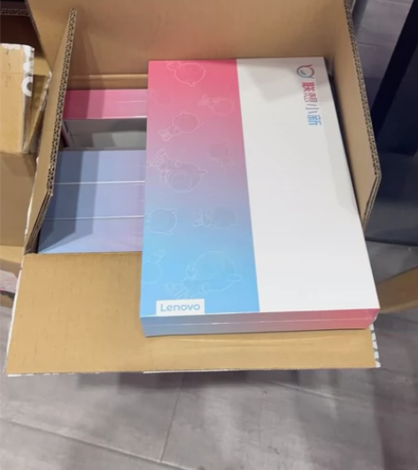 Lenovo/联想 联想平板小新Pad P...