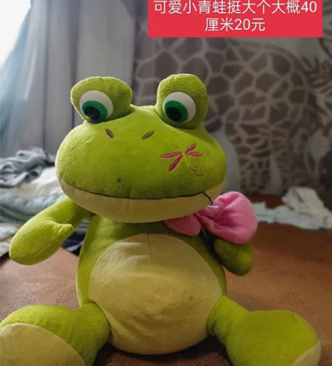 40厘米大萌蛙，超级可爱 感兴趣的话点“我...