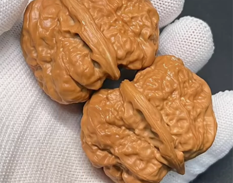 蛤蟆头 大肚肌肉蛙 尺寸 边38.5 肚4...