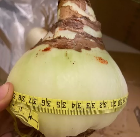 家家爱 倾城之恋席梦思床垫1.8*2m，盐...