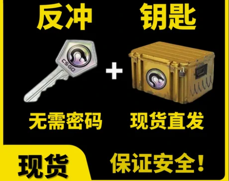 现货秒发CSGO反冲钥匙带武器箱 无需改区...