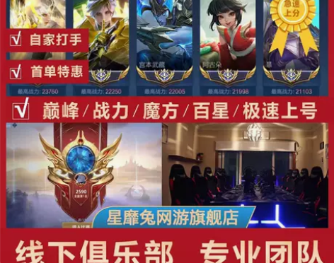 王者荣耀代练工作室打国服大小国标魔方省金标...