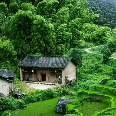 老用户专拍285到账300 感兴趣的话点“...