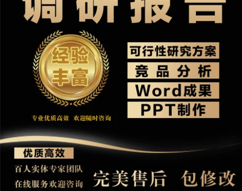 代写调研报告立项目行业市场可行性研究方案竞...