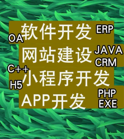 程序开发，[hot][hot]小程序，ap...