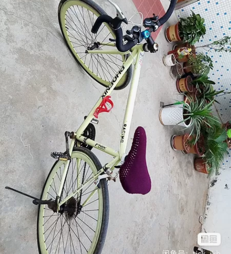 凤凰公路自行车 凤凰公路自行车,时间较久的...