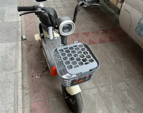 小刀爱玛同款飞鸽电动车续航远代步车学生买菜...