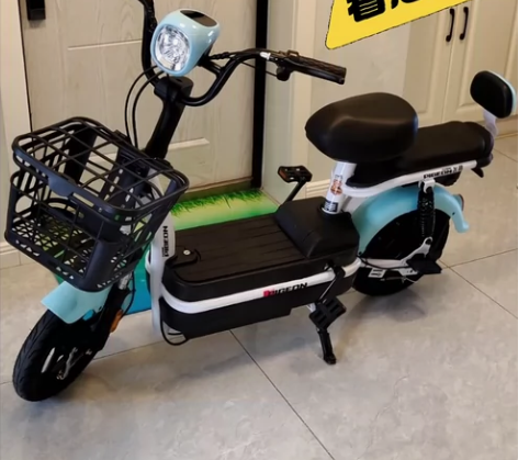 包邮到家 全新电动车飞鸽正品高续航载重拆卸...