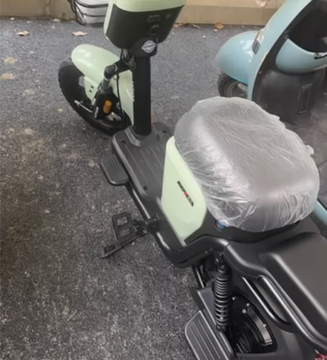 绿源电动车48v24a 锂电池可提 购入一...