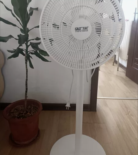 先科电风扇落地扇家用轻音立式大风力电扇宿舍...