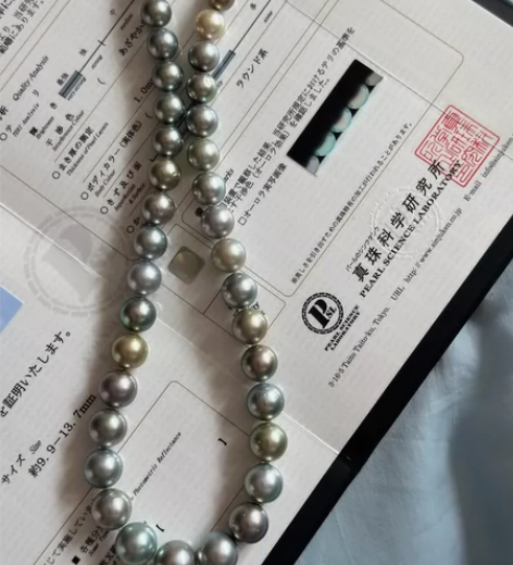 全新大溪地混彩 莫兰迪莫奈花园配色 真科研...