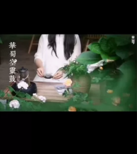 ?空灵鼓琴初学者专业级色空鼓正品13音15...